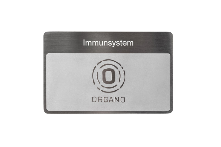 ORGANETIK Programmkarte Immunsystem