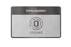 ORGANETIK Programmkarte Immunsystem