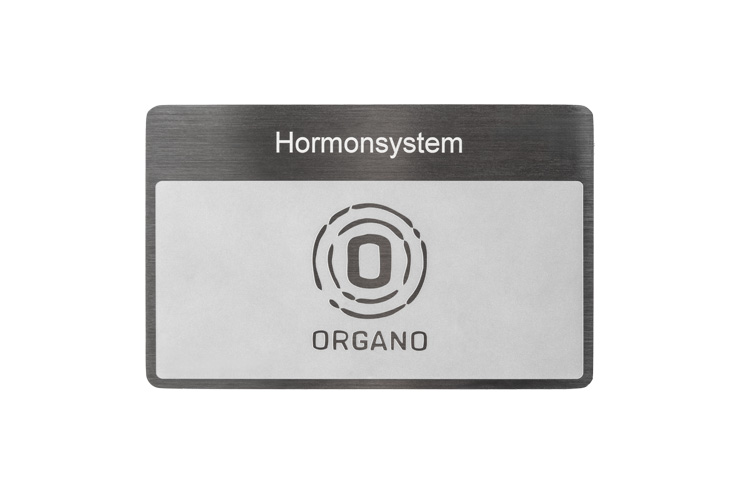 ORGANETIK Programmkarte Hormonsystem