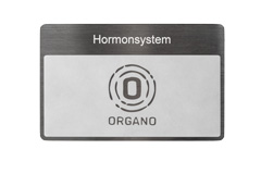 ORGANETIK Programmkarte Hormonsystem