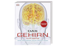 Das Gehirn